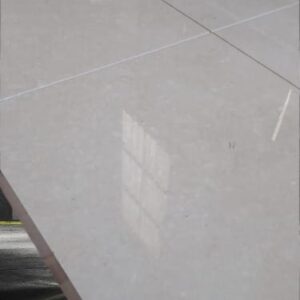 Alternative view of Sunny Menia