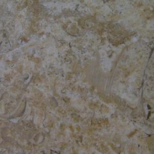 Alternative view of ختمية