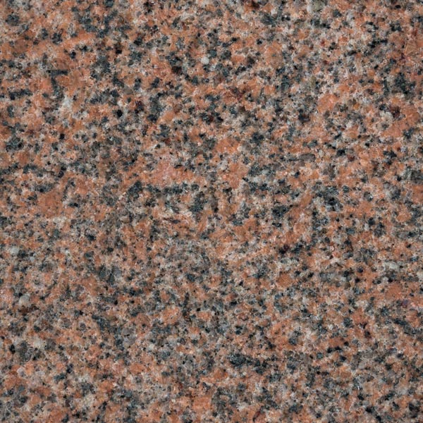 روزا هودى - الصورة 2