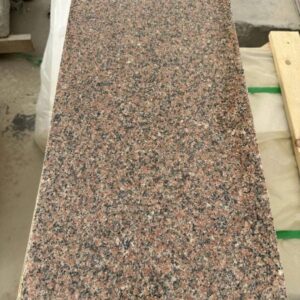 Alternative view of Rosa Hodi