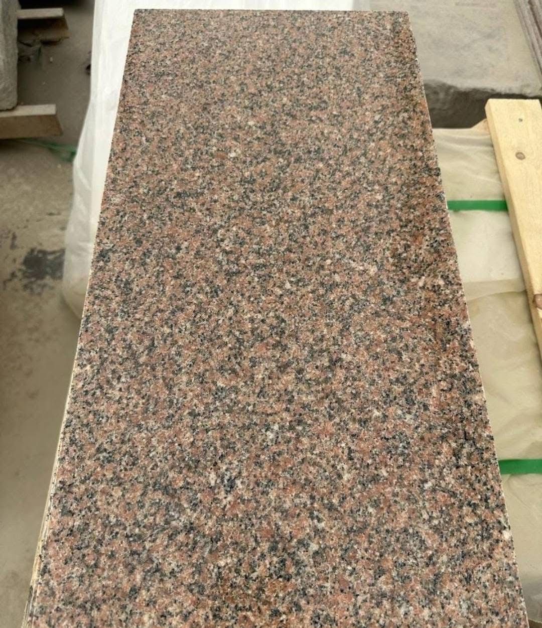 روزا هودى - الصورة 3