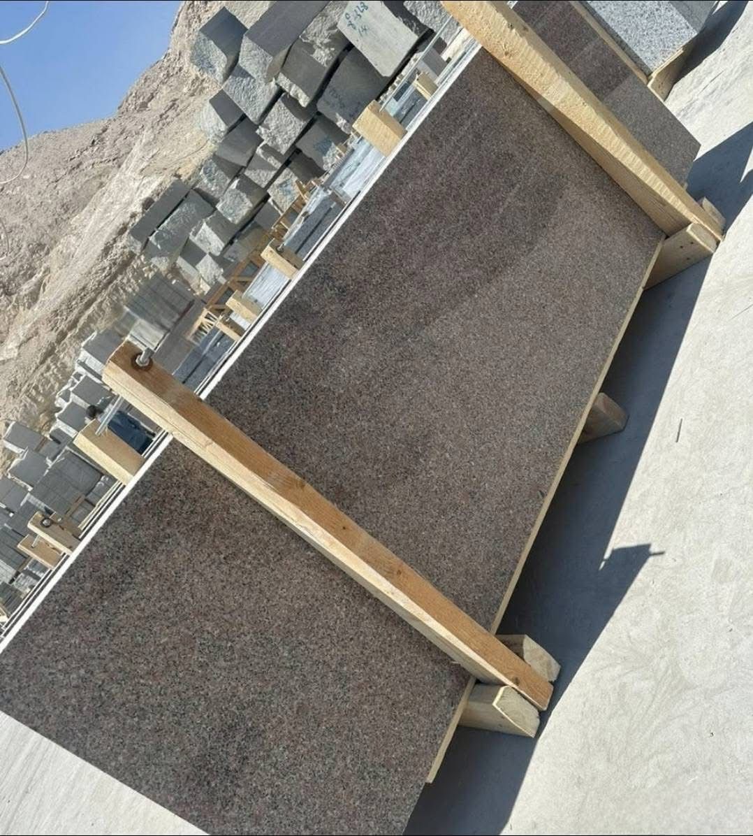 روزا هودى - الصورة 6