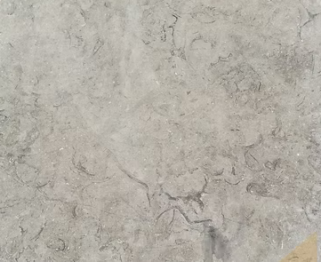 ميلى جراى ريشة - الصورة 3