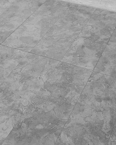 ميلى جراى ريشة - الصورة 4