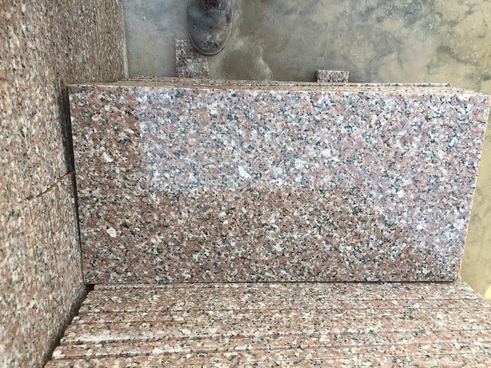 روزا النصر - الصورة 6