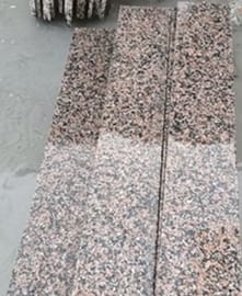 Alternative view of Rosa Katrina