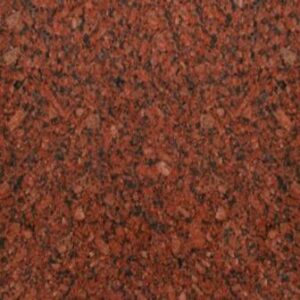 Alternative view of Red Royal