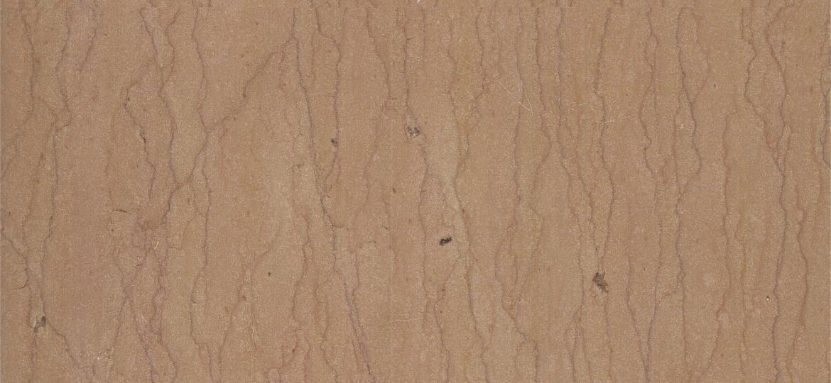 زعفرانة عكس - الصورة 4