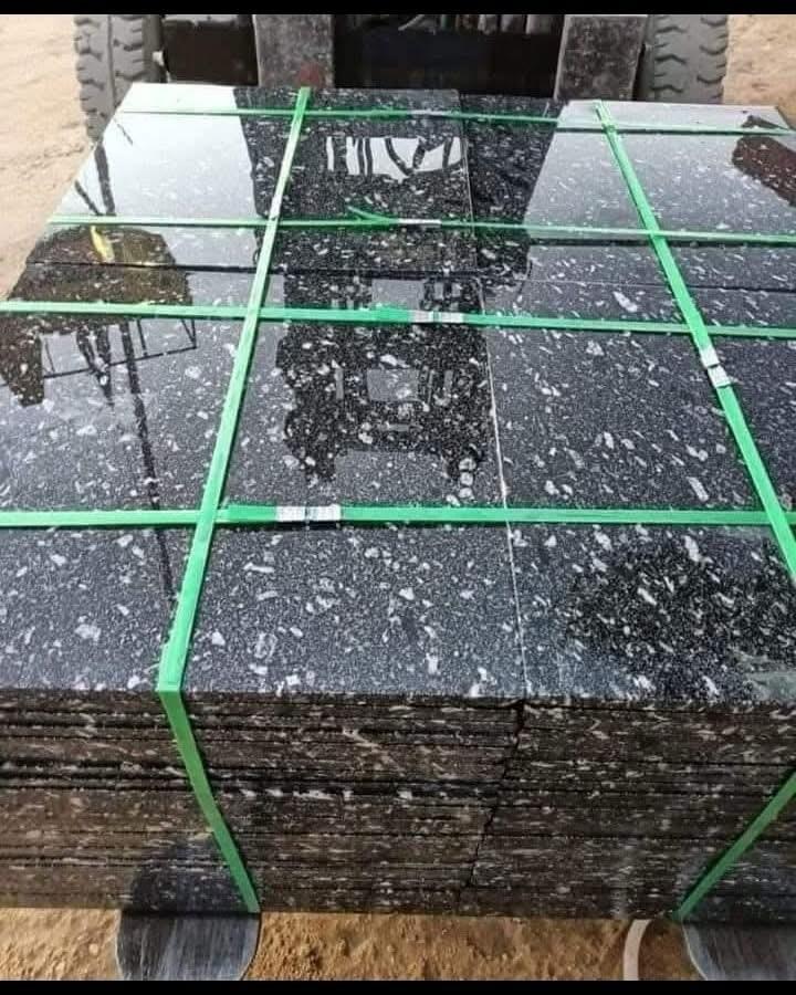 أسود أسوان - الصورة 6