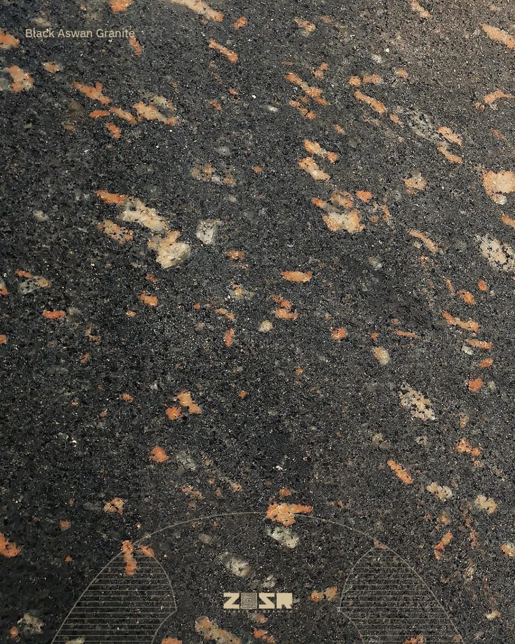 أسود أسوان - الصورة 5