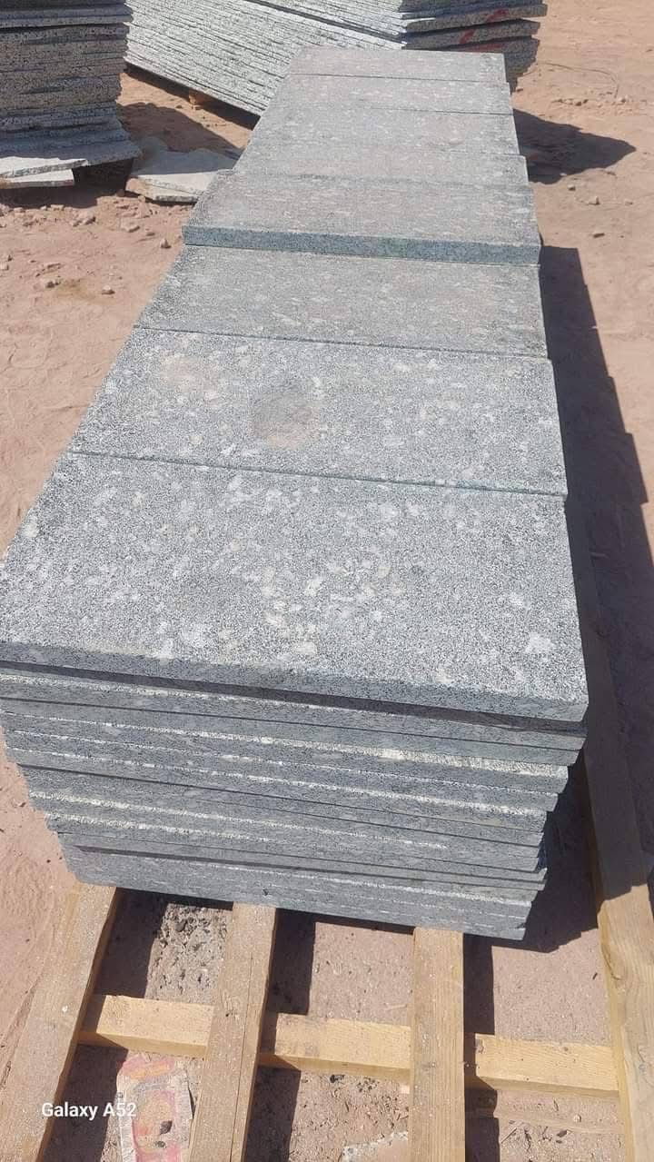 أسود أسوان - الصورة 4